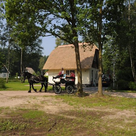 Beautiful Holiday Home In Heeten With Private Garden Экстерьер фото