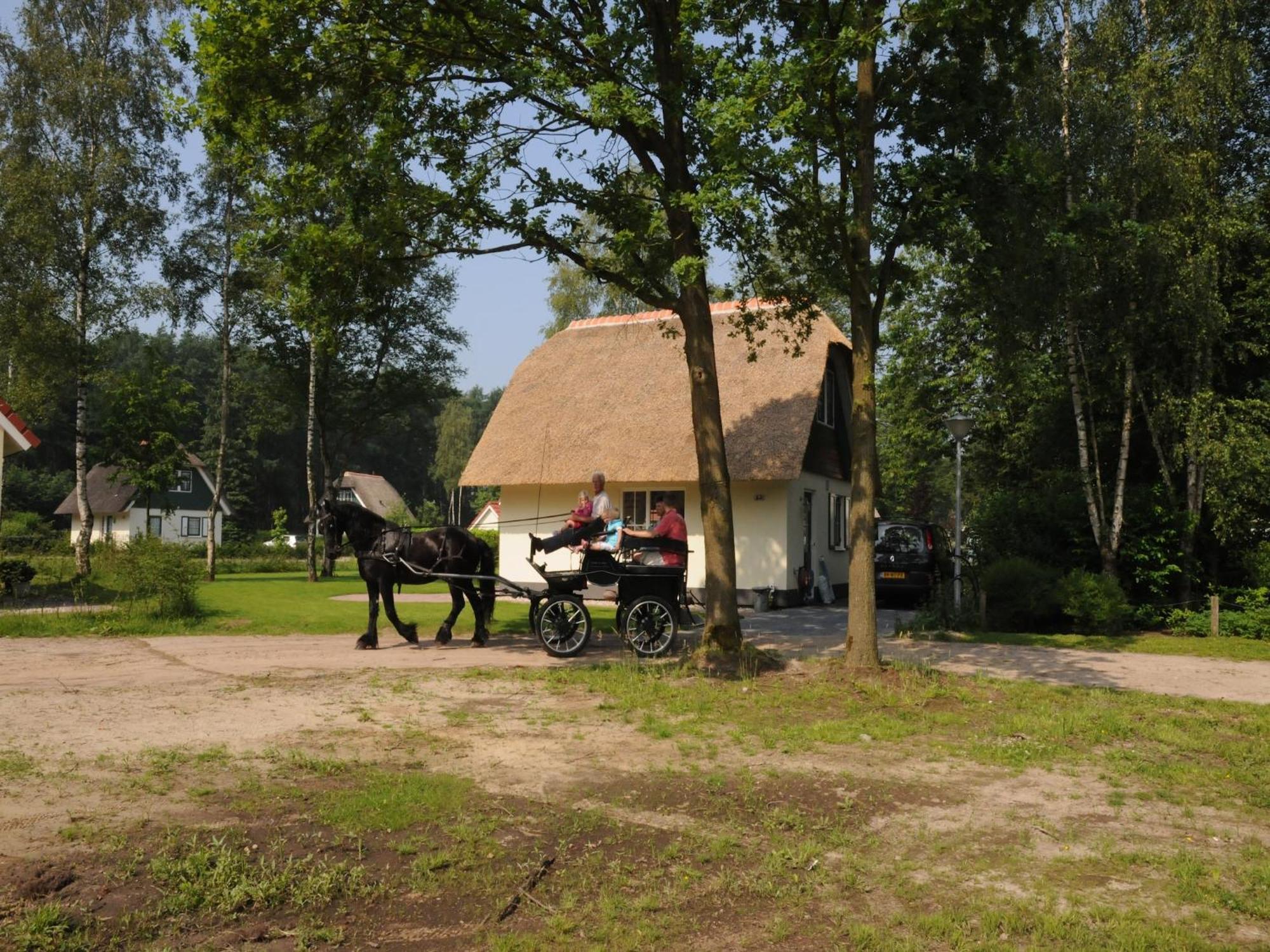 Beautiful Holiday Home In Heeten With Private Garden Экстерьер фото